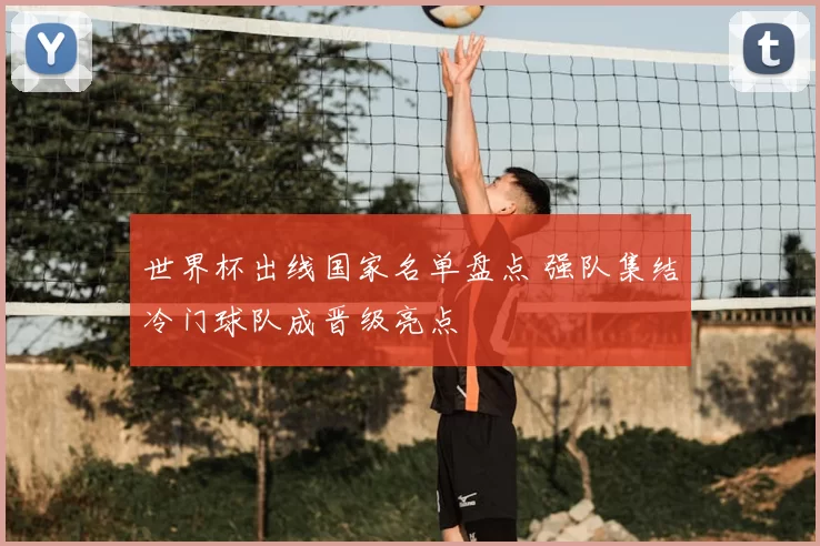 世界杯出线国家名单盘点 强队集结冷门球队成晋级亮点