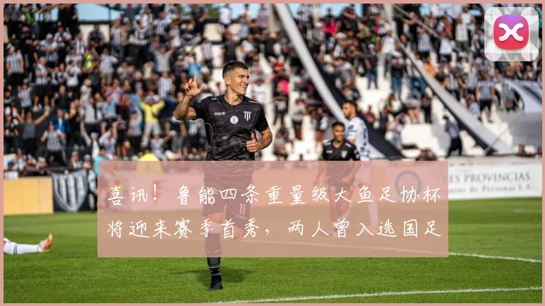 喜讯！鲁能四条重量级大鱼足协杯将迎来赛季首秀，两人曾入选国足