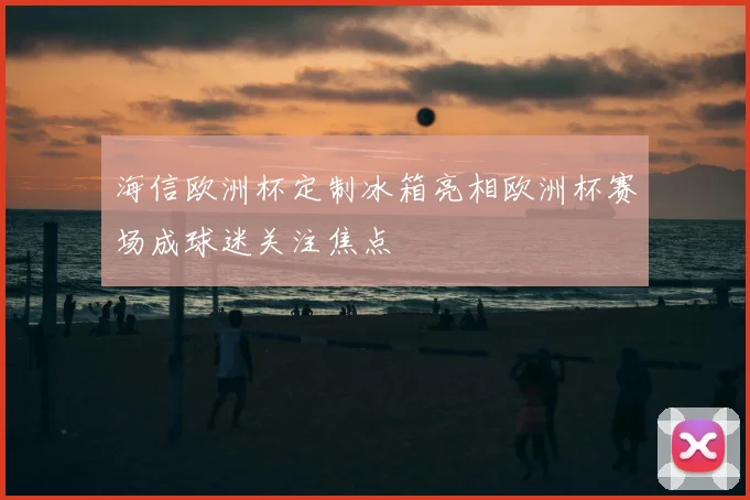 海信欧洲杯定制冰箱亮相欧洲杯赛场成球迷关注焦点