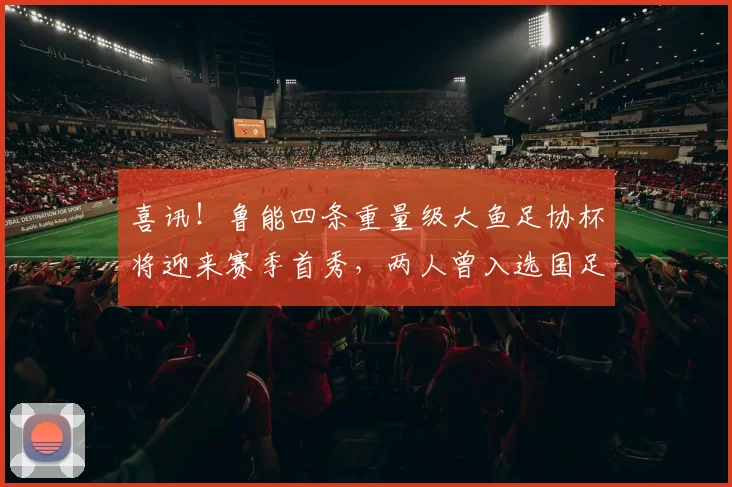 喜讯!鲁能四条重量级大鱼足协杯将迎来赛季首秀,两人曾入选国足